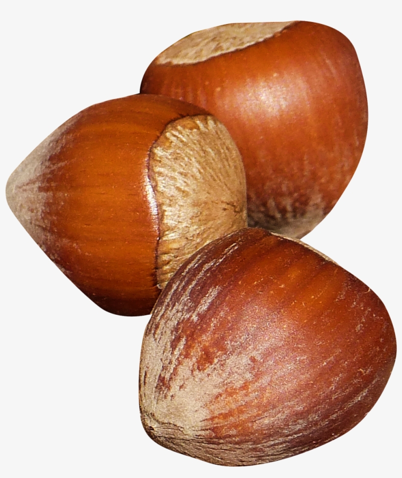 Hazelnut Png, transparent png download
