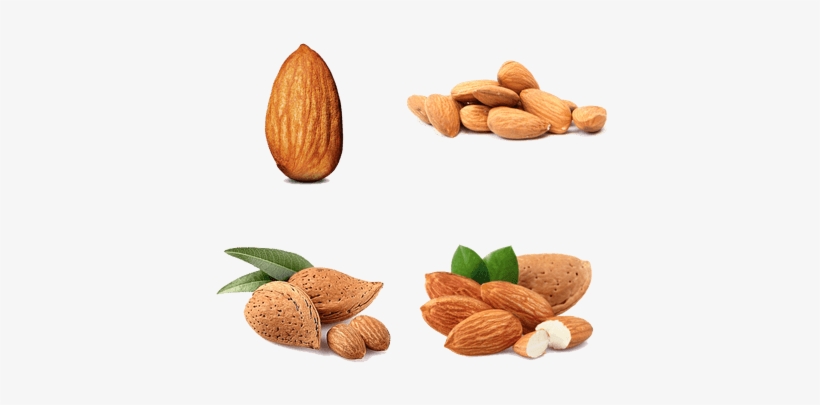 Almond - Z Natural Foods Almonds - Raw Organic 2 Lbs, transparent png download