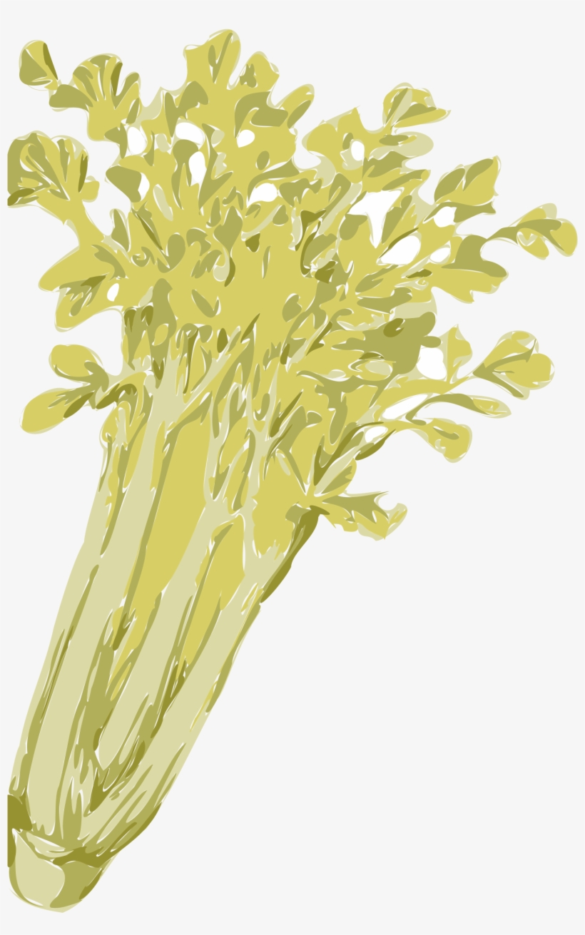Celery Png, transparent png download