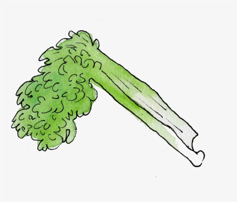 Painted In A Playful Style These Cute Yet Elegant Watercolour, transparent png download