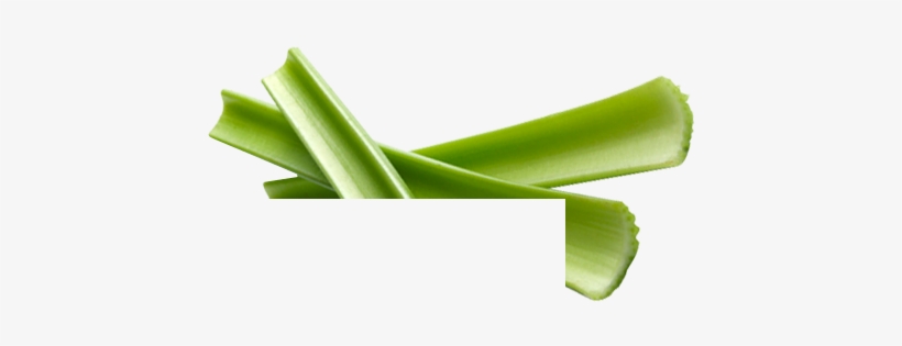 Previous Image - Leek, transparent png download