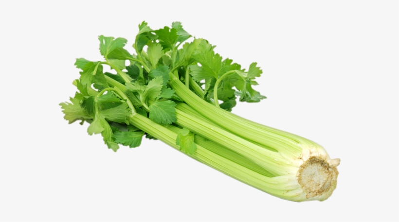 Celery - Green Vegetables, transparent png download
