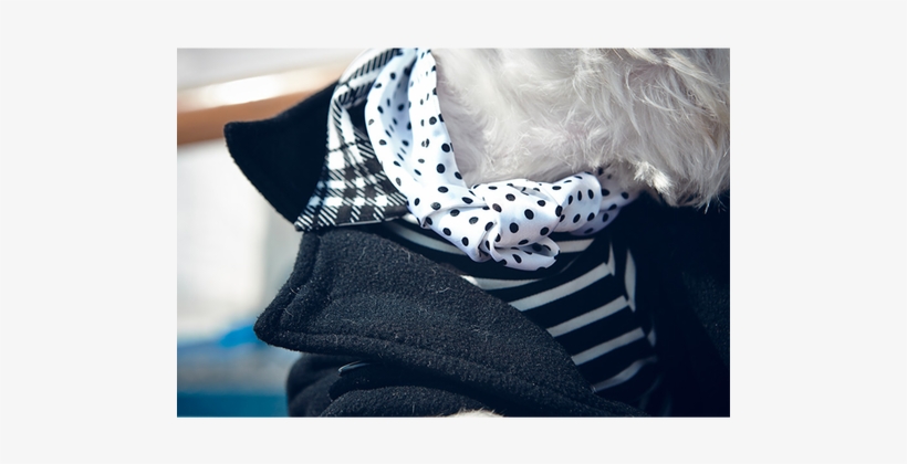 Tie On Ascot - Polka Dot, transparent png download