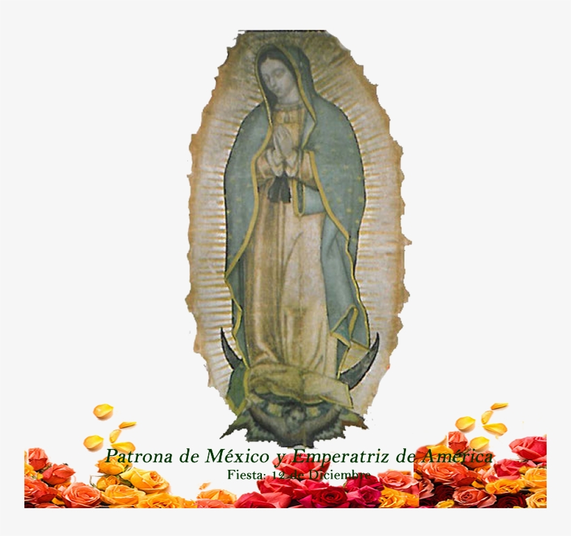 Basilica Of Our Lady Of Guadalupe, transparent png download