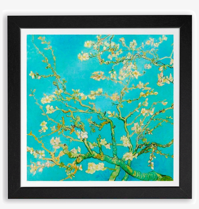 Decogalería - Branches Vincent Van Gogh, transparent png download