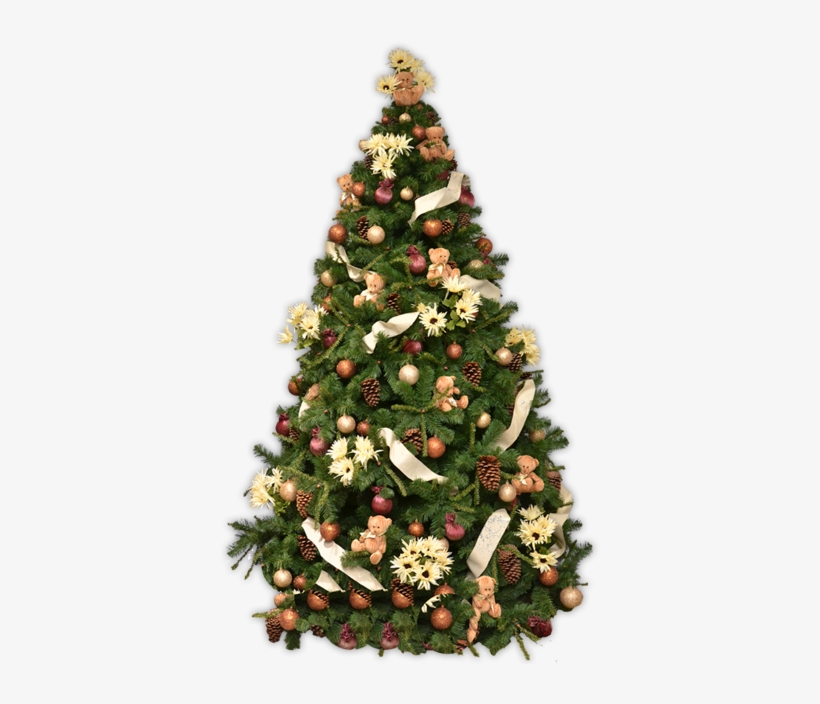 Real - Christmas Day, transparent png download