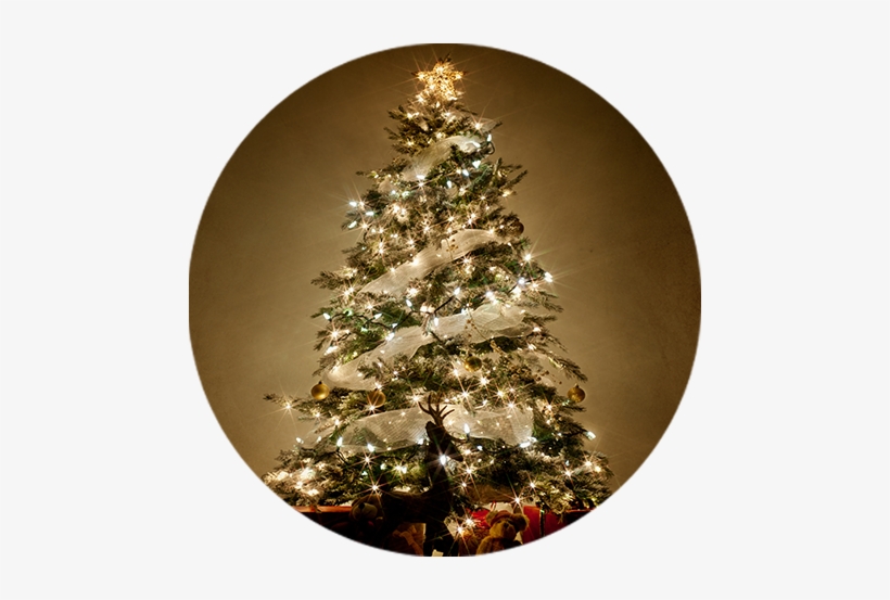 Dale A Tu Árbol Un Aspecto Elegante Y Vístelo Con Moños - Chanbly Outlet Type 34ft 100 Led Led Lamp String Light, transparent png download