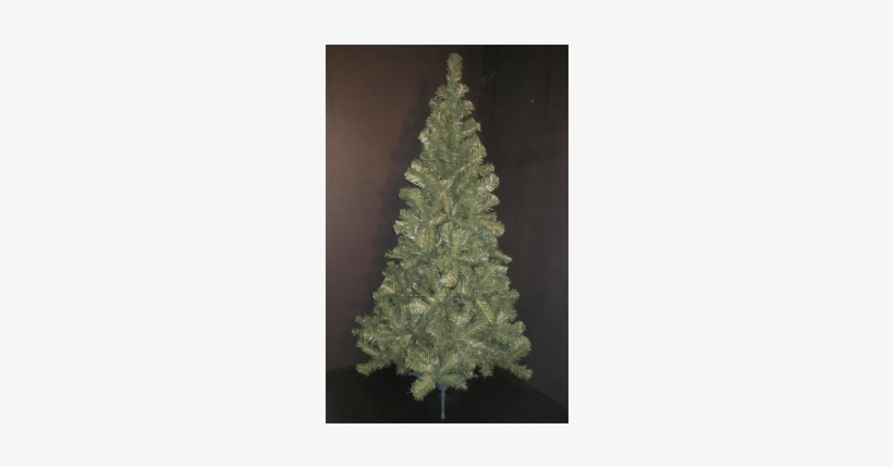 Arbol De Navidad Clásico 1,6m Reila - Christmas Tree, transparent png download