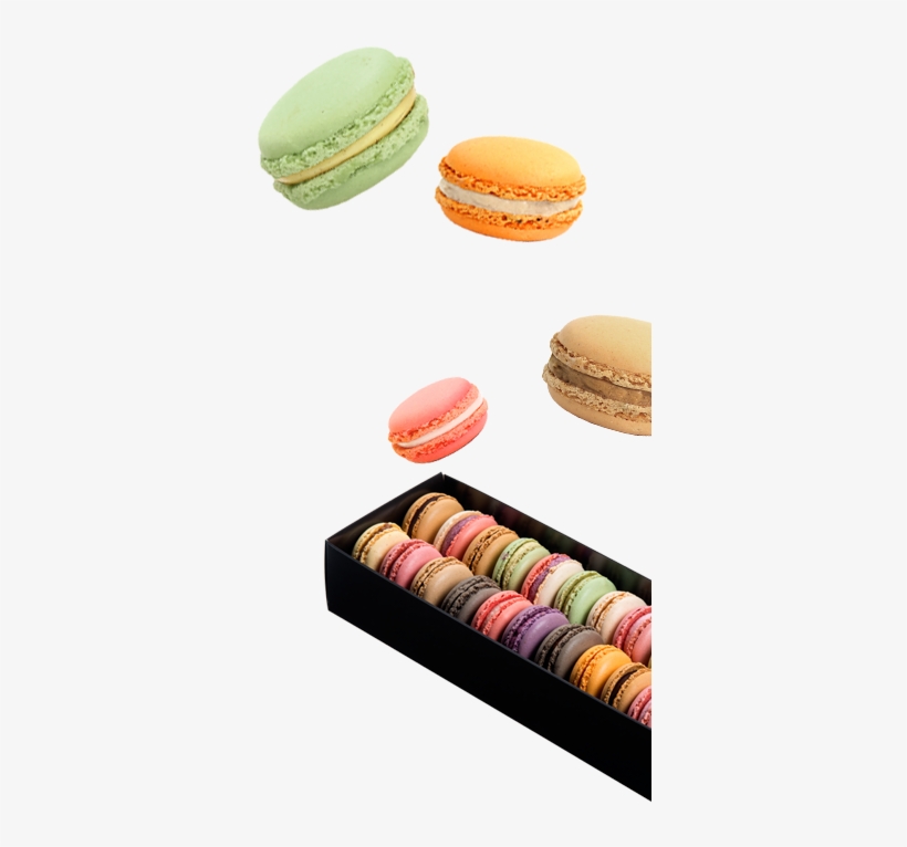 The Assortments - Macaron Galler, transparent png download
