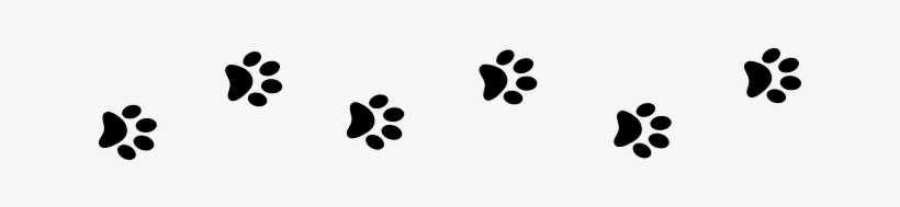 Paw Prints Cats - Wall Sticker Paw Prints, transparent png download