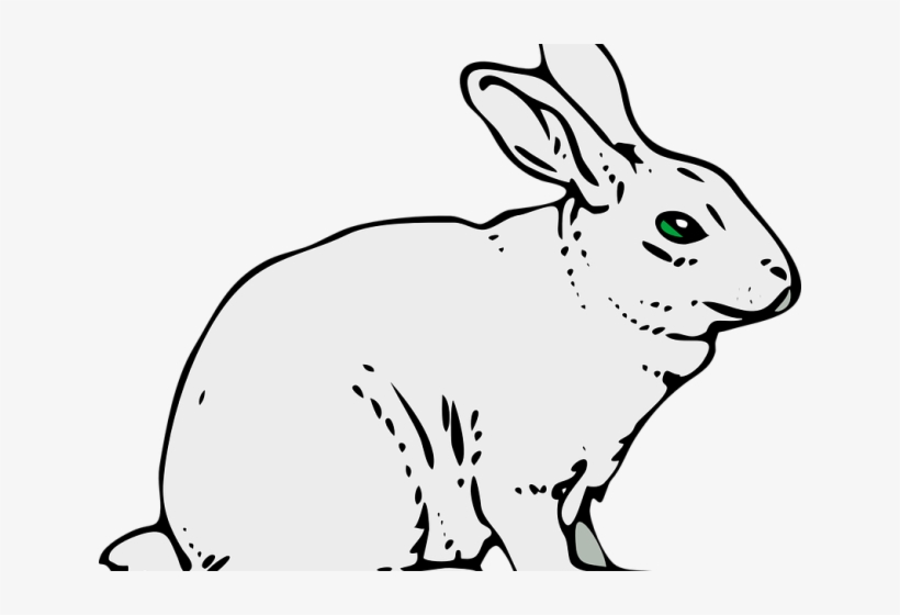 Drawn Bunny Mammal - Rabbit Clipart, transparent png download