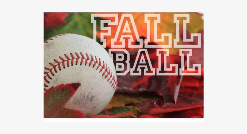 Fall Ball - Little League Fall Ball, transparent png download