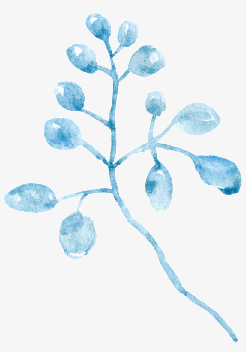 Waterdrop Flower Branch Cartoon Transparent - Cartoon, transparent png download