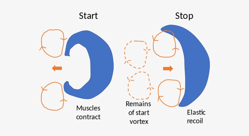 Banner Stock Huge Freebie Download For - Wikimedia Commons, transparent png download