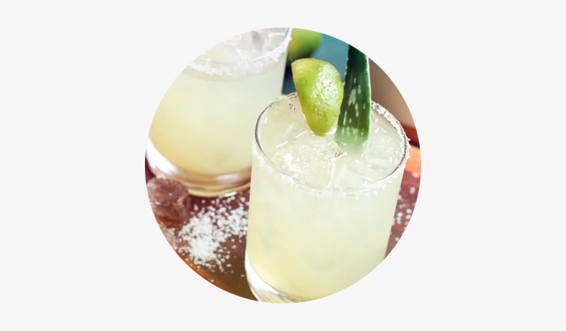 Organic Aloe Vera Drink Dubai - Dubai, transparent png download