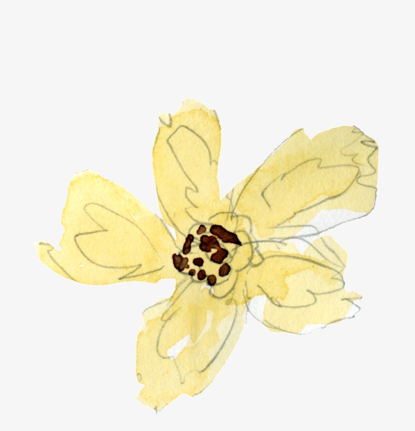 Png Transparente Para La Luz Estambres Amarillos Ornamentales - Artificial Flower, transparent png download