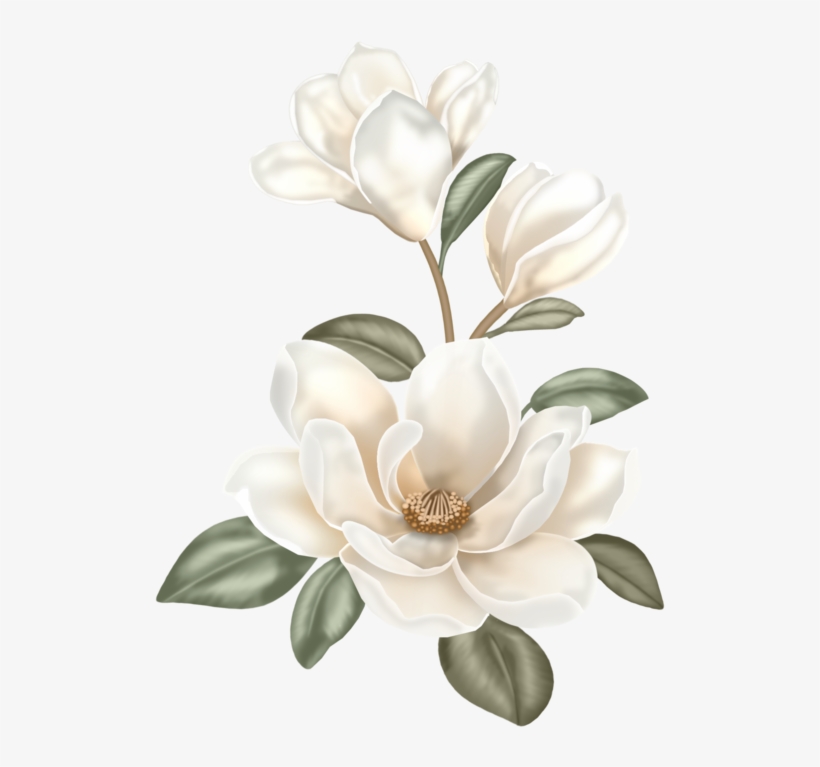 0 B91ab 1ff558ab Xl - Flower Clip Art Boho, transparent png download