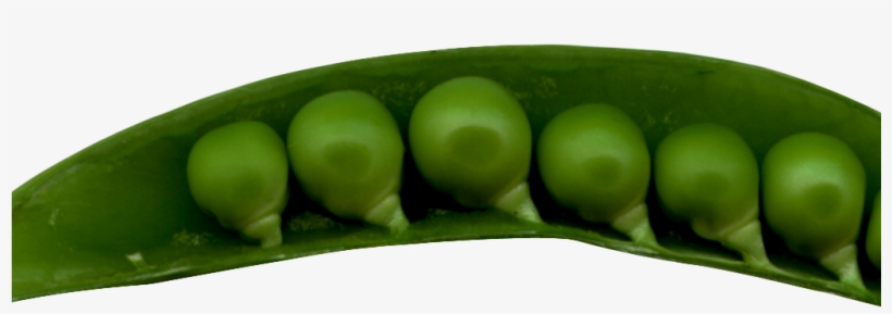 Peas In A Pod Png Image - Green Pea, transparent png download