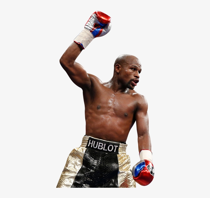 Tale Of The Tape - Floyd Mayweather Cut Out, transparent png download