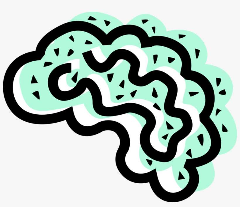 Vector Illustration Of Human Brain Organ Serves As - Illustration, transparent png download
