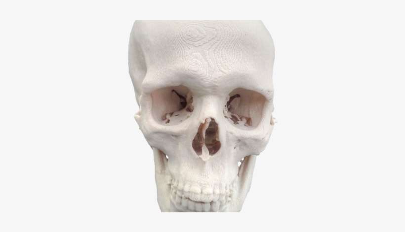 Gnu Free Documentation License, transparent png download