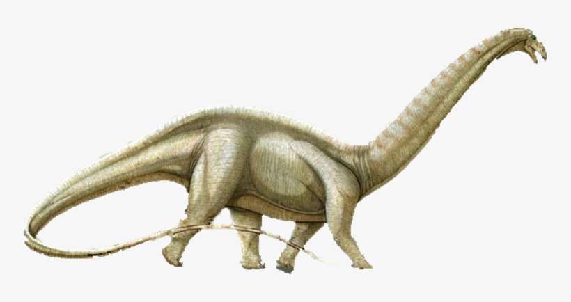 Brontosaurus - Cretaceous Period Dinosaurs, transparent png download