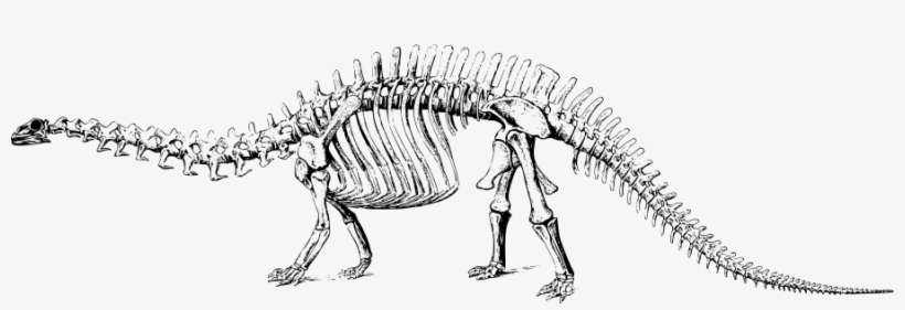 How To Set Use Brontosaurus Clipart, transparent png download