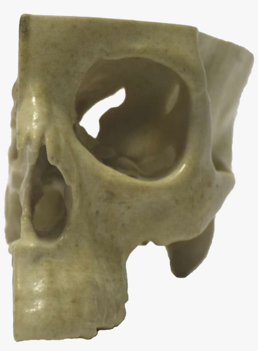Front Of 3d Printed Half Skull - Skull, transparent png download