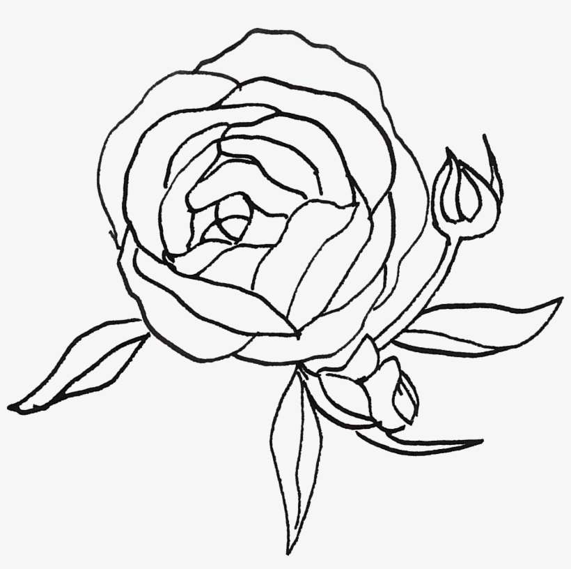 0℃素材198 - Portable Network Graphics, transparent png download