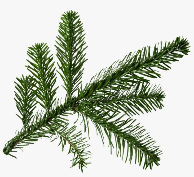 Branch By Nellygraceng On - Airplane Theme - For Girls Ornament (personalized), transparent png download