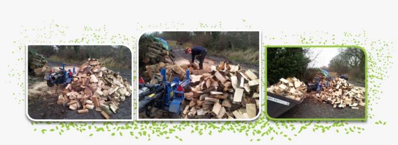 Logs Delivered To You - Tree, transparent png download