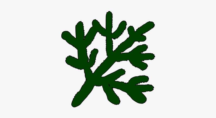 I Was Discouraged When I Could Not Find The Martha - Branch, transparent png download