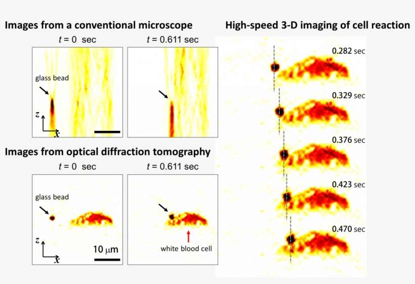 High Speed 3 D Images Produced From Optical Diffraction - Pest, transparent png download