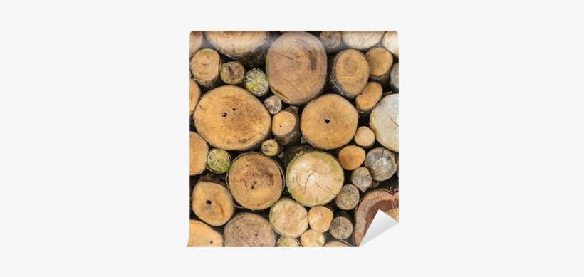 Wood, transparent png download