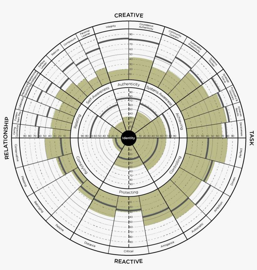 Leadership Circle Profile - Leadership Circle Manager Edition, transparent png download