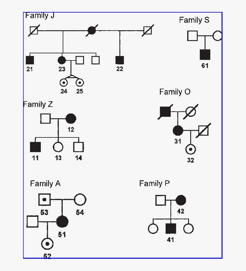 Circle, Woman - Diagram, transparent png download