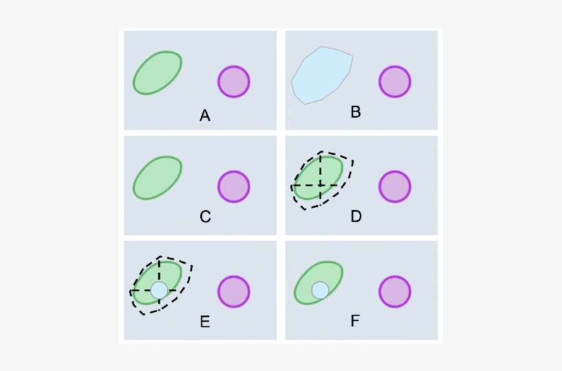 Definition Of An Area And Drawing Of Protein Circle - Circle, transparent png download