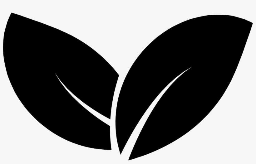Download Two Leaves Svg Png Icon Free Download Two Leaves Png Clipart Png Image Transparent Png Free Download On Seekpng