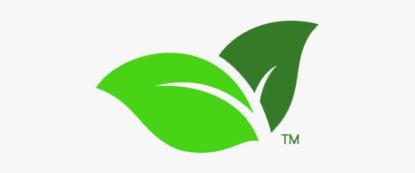 Cloud Solution - Green Png Leaves Logo, transparent png download
