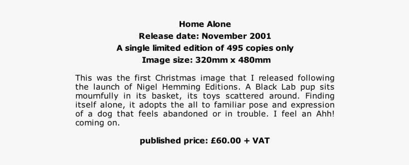 Home Alone, transparent png download