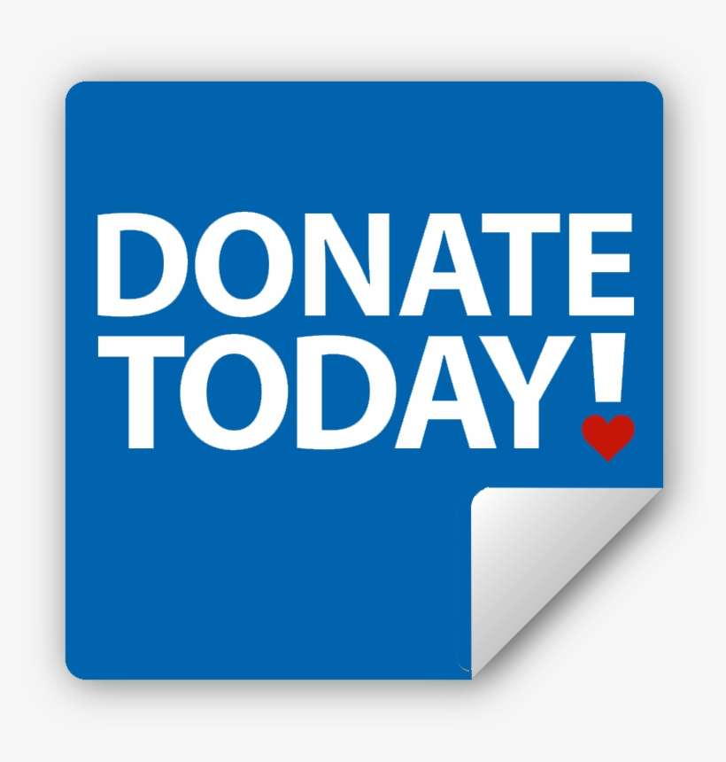 Noosa Today, transparent png download