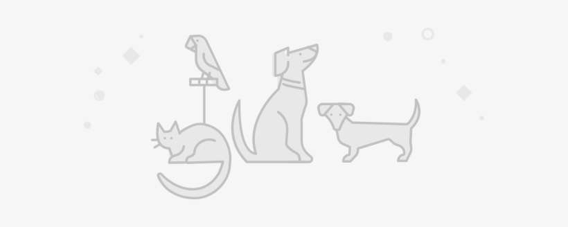 Dog Licks, transparent png download