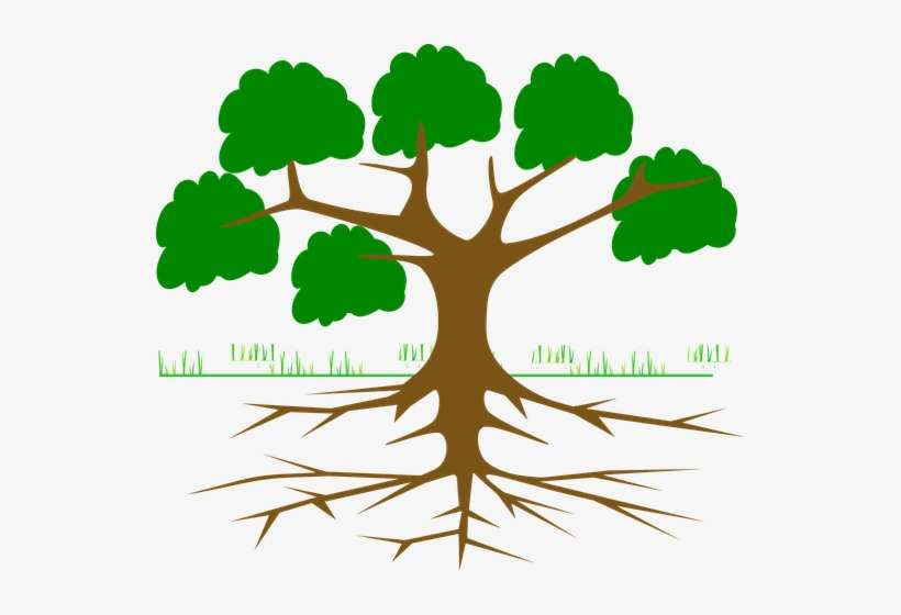Sewer Problems Tree Roots - Arbol De Problemas Para Llenar, transparent png download
