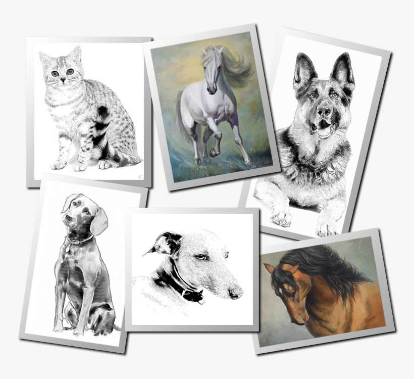 Pet Portrait Painting - Portrait, transparent png download