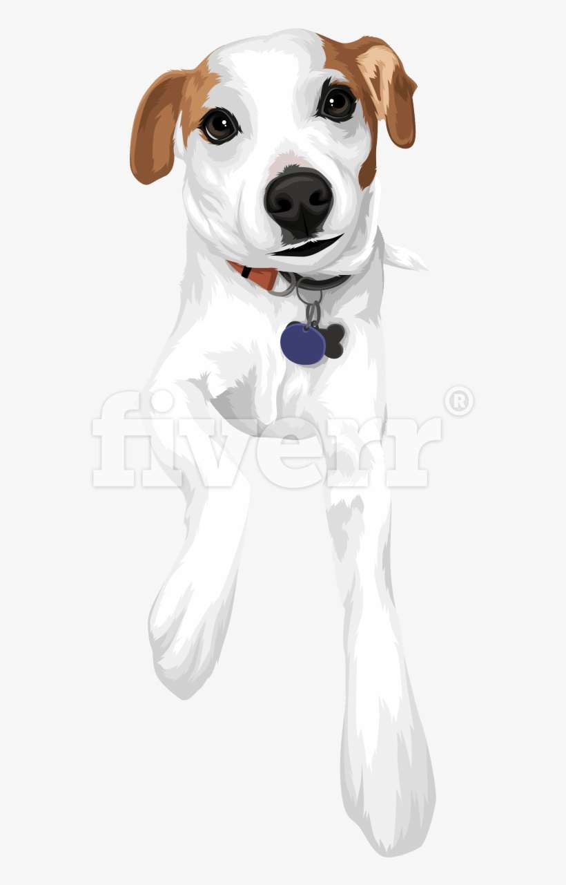 Dog Catches Something, transparent png download
