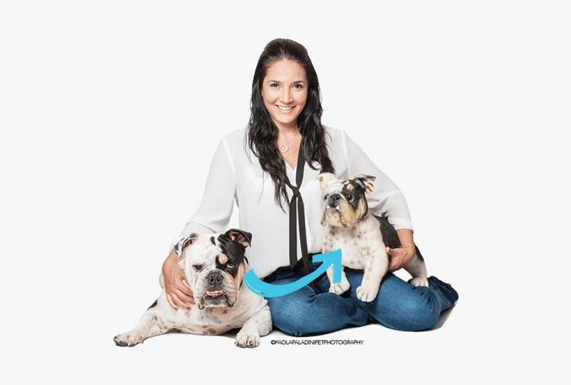 Custom Unique Gift Stuffed Animal - Stuffed Toy, transparent png download