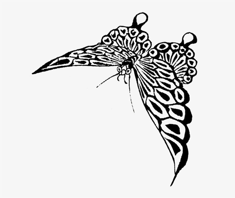 Japanese Drawing Butterfly , Strange Butterfly - Black White Butterfly Png, transparent png download