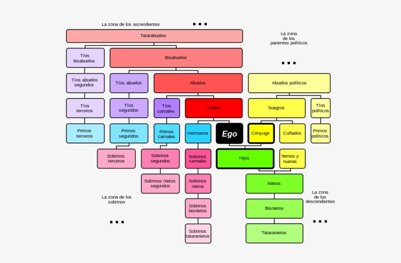 Enter Image Description Here - Sistemas Terminológicos De Parentesco, transparent png download