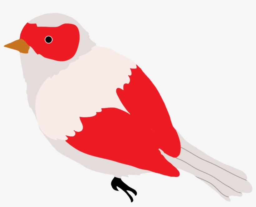 Green Colored Bird Drawing, Red And Grey Colored Bird - Bird Drawing Clip Art, transparent png download