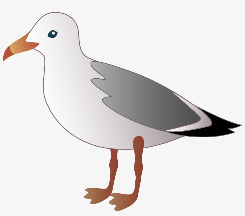 Seagull Outline Clipart